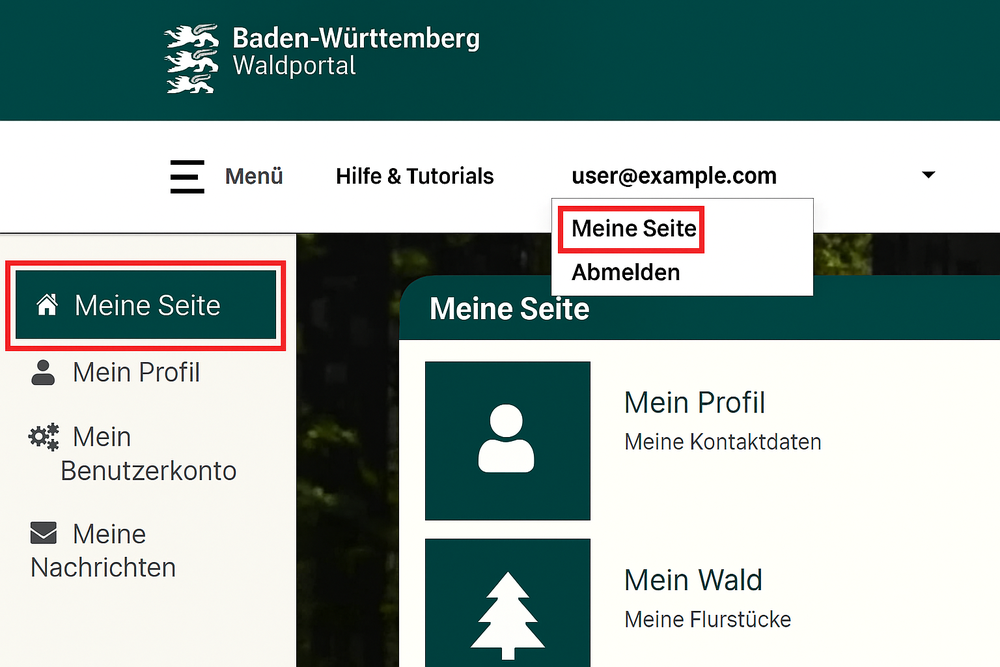 Auswahlmöglichkeit um in "Mein Profil" zu kommen