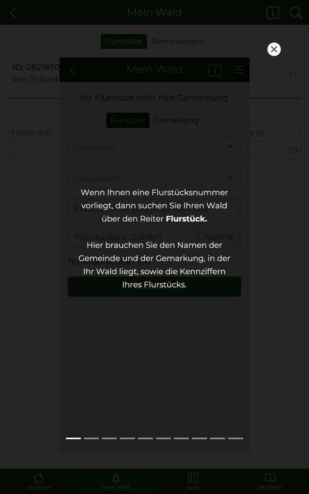 Tutorial zum Bereich "Mein Wald"