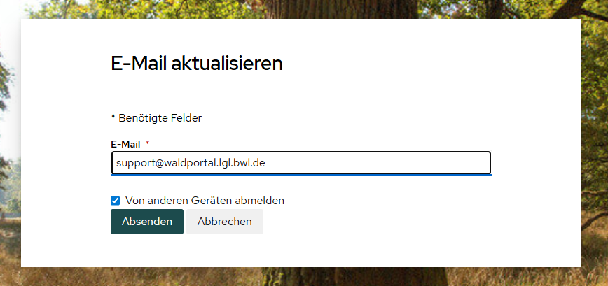 Email ändern Maske