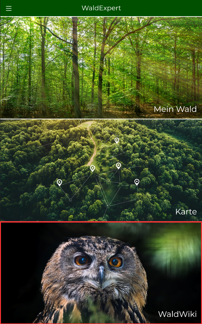 Auf der Startseite ist der Bereich "Waldwiki" markiert