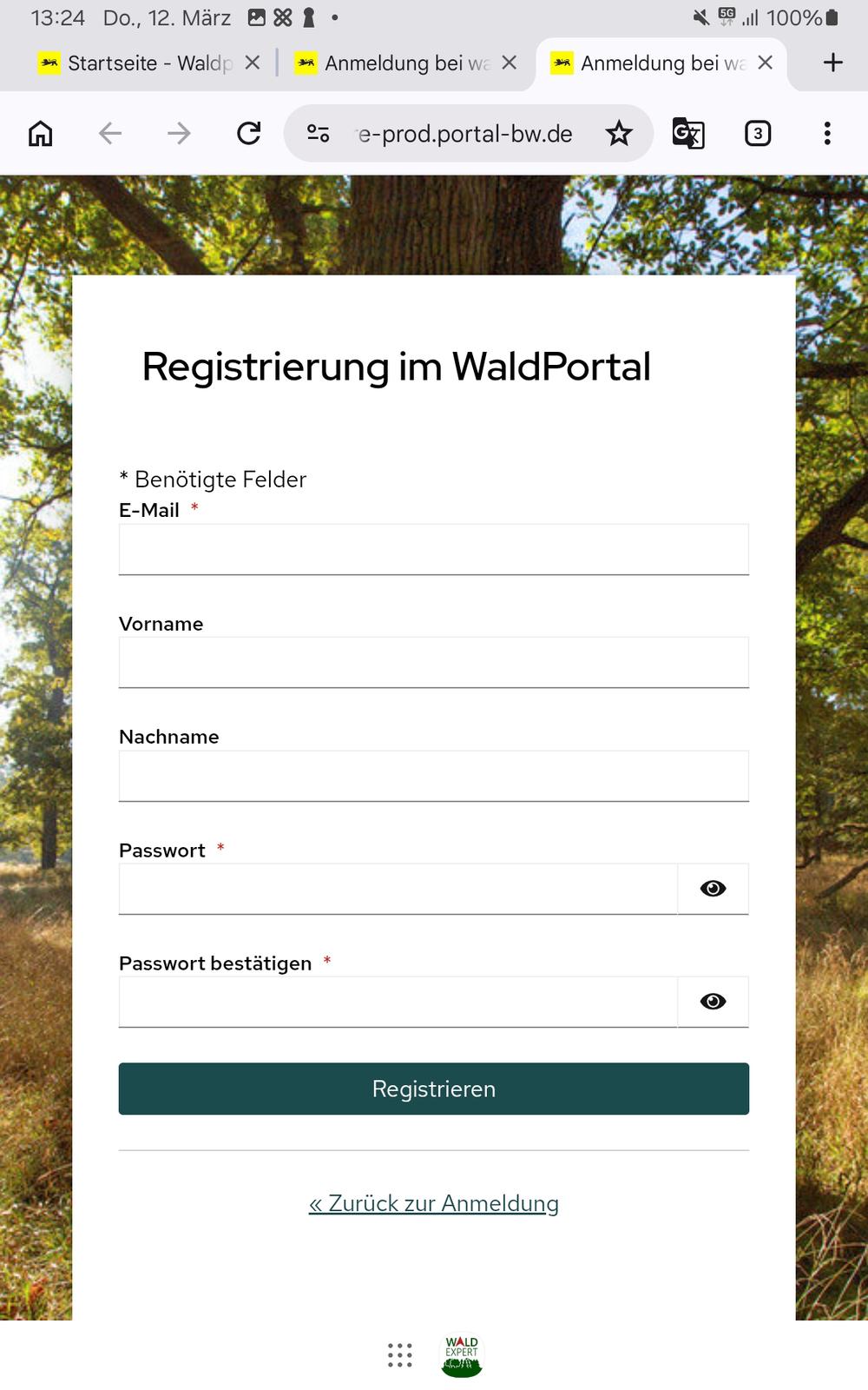 Registrierungsmaske