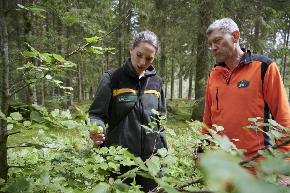 Eine Försterin berät einen Waldbesitzer im Wald.