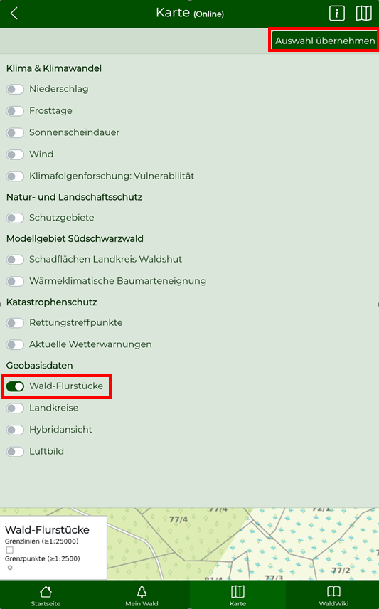 Layer Wald-Flurstücke