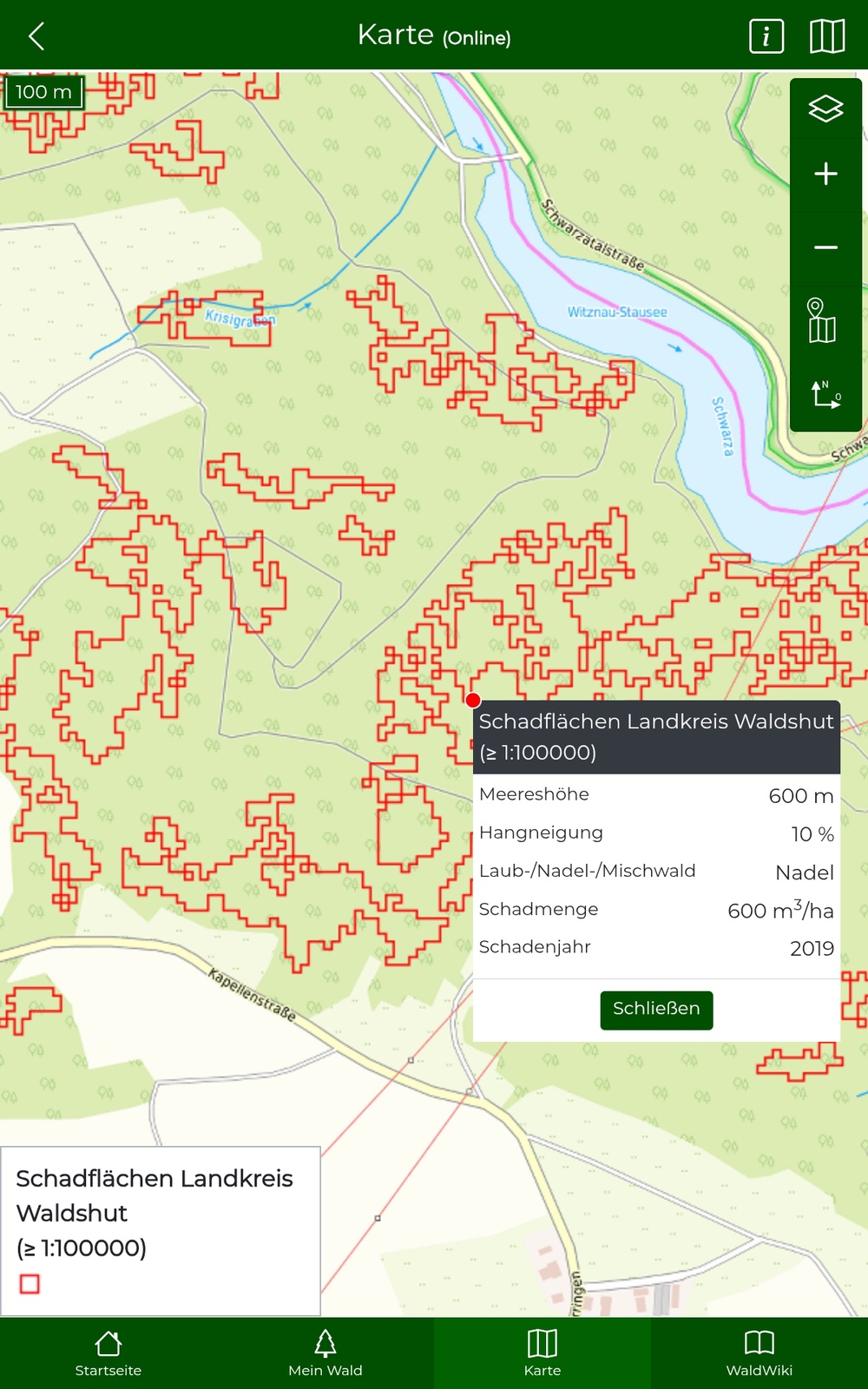 Layer Schadflächen Waldhut mit Infos