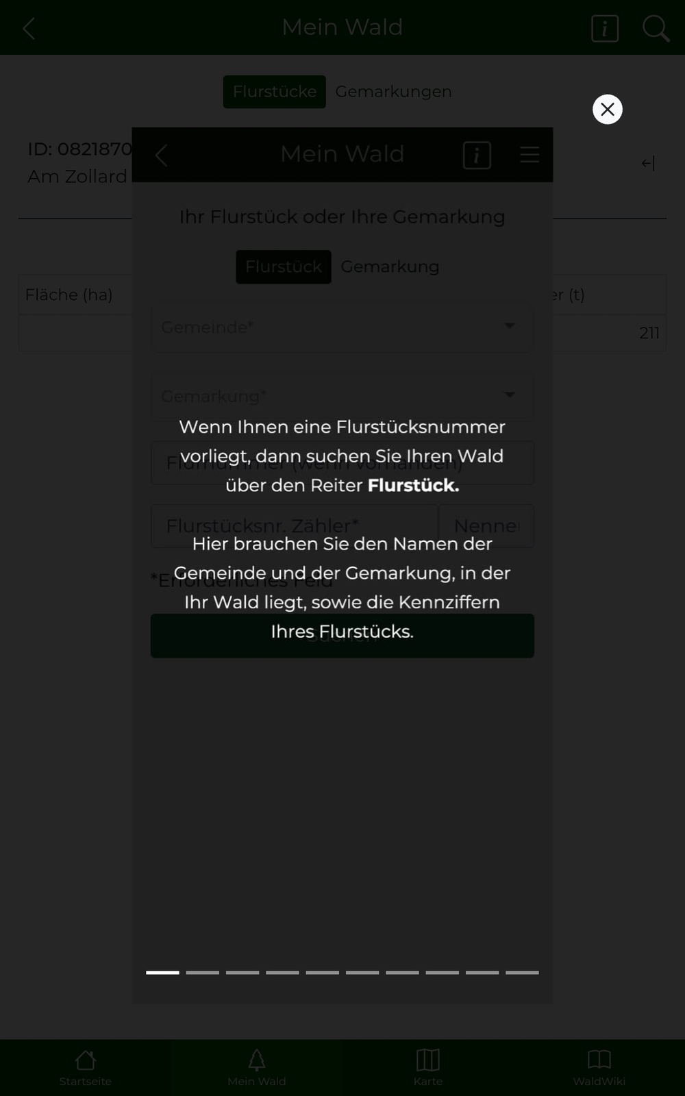 Tutorial zum Bereich "Mein Wald"