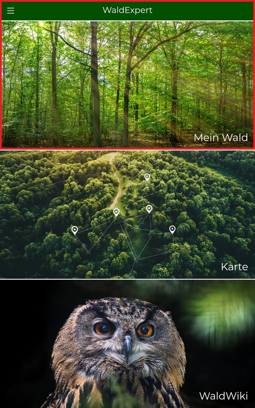 Auf dem Startbildschirm ist der Bereich "Mein Wald" markiert
