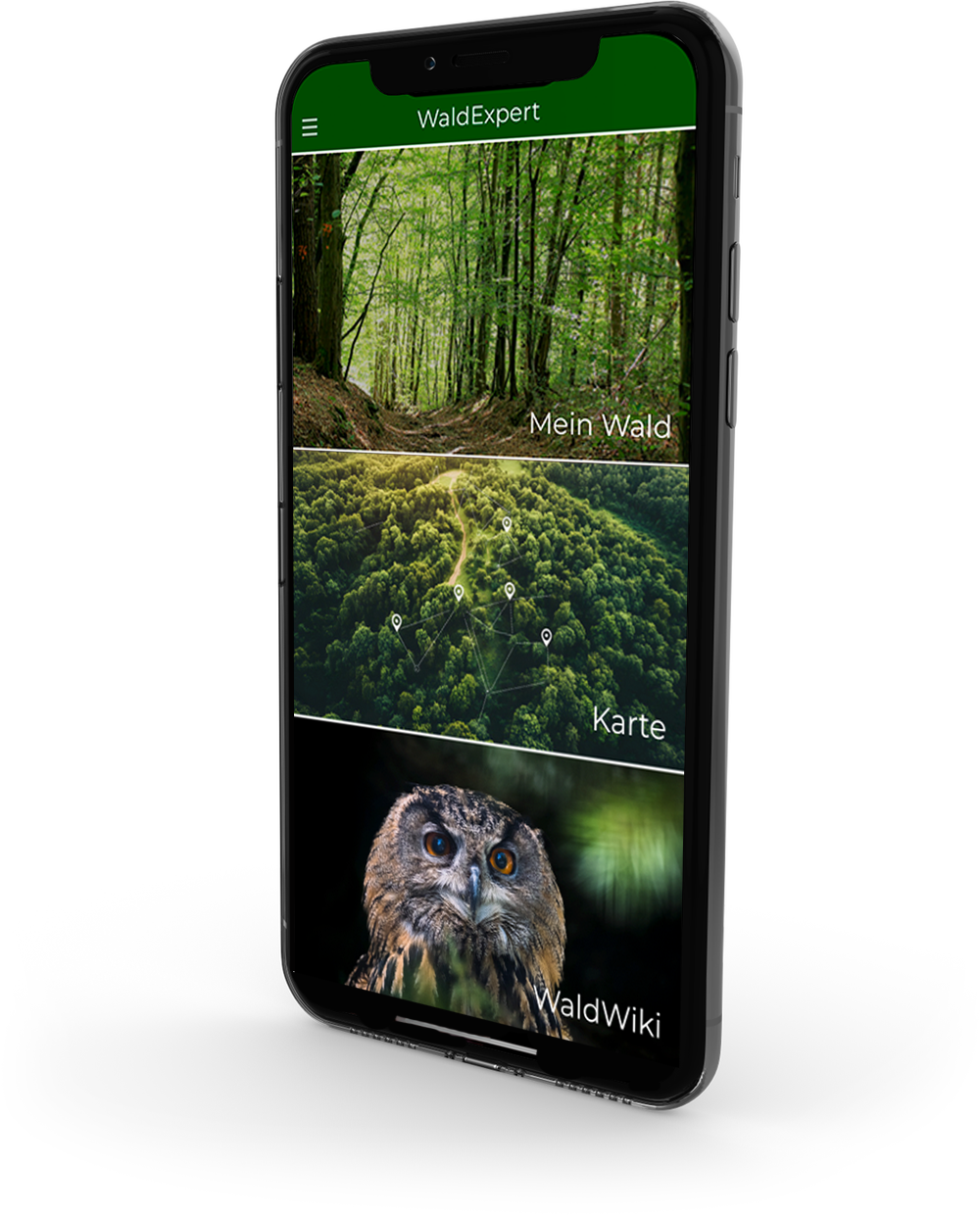Ein Bild der mobilen Anwendung WaldExpert mit dem Startbildschirm.