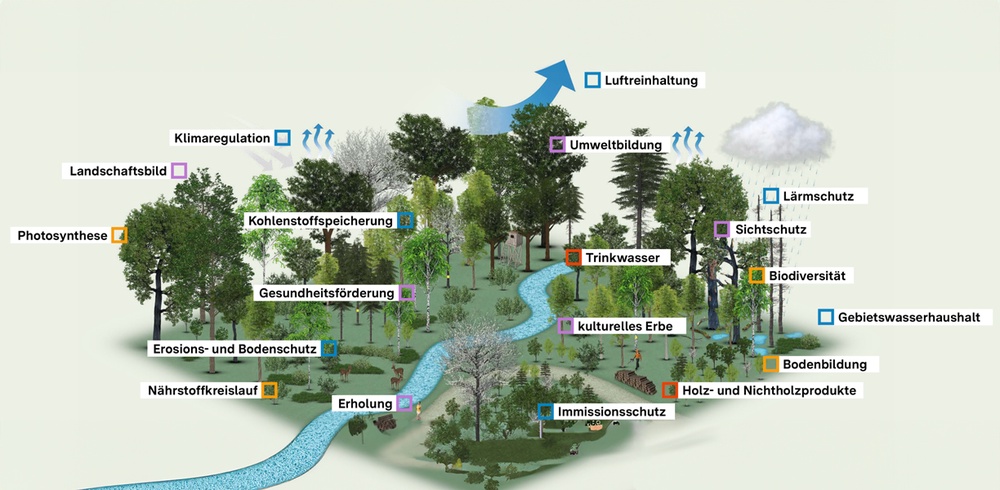 Wald Baden-Württemberg