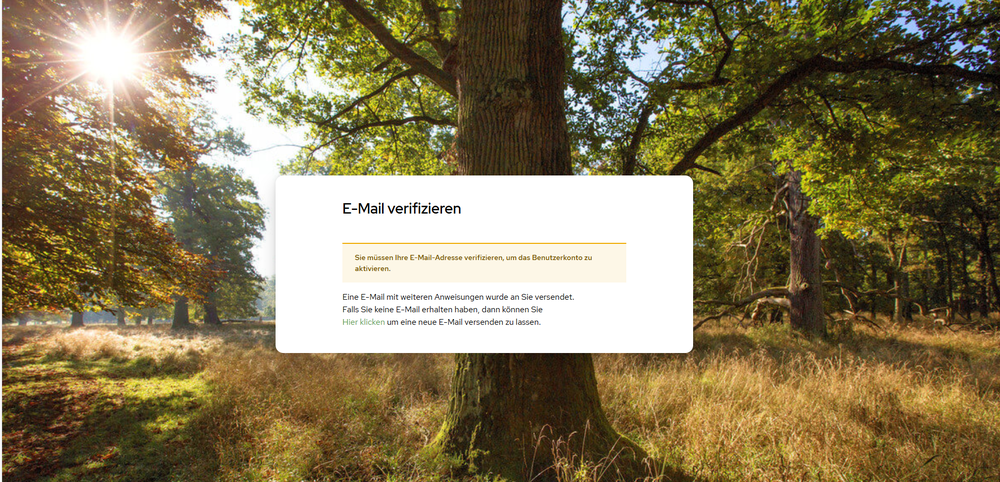 Keine Mail erhalten? Erneut senden-Button